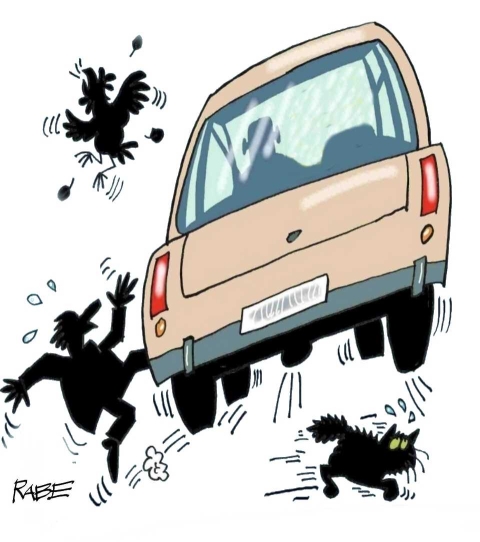 DW web Autofahren